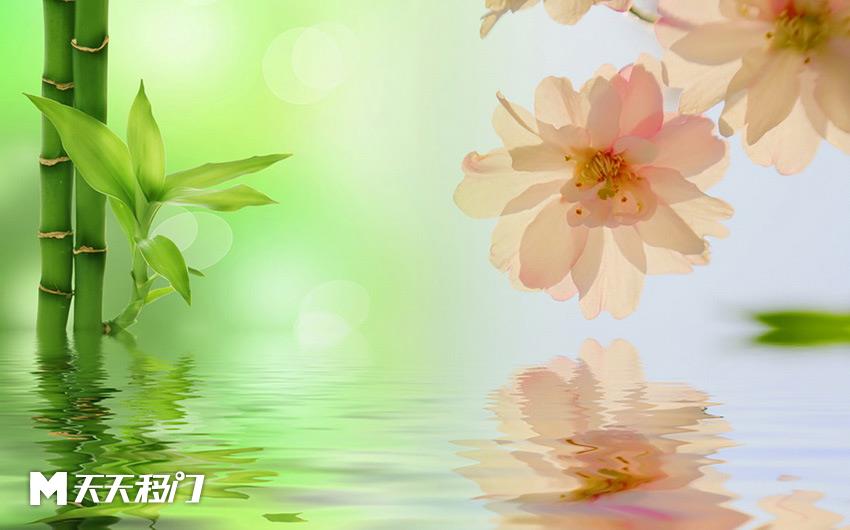 移图 GT-2205