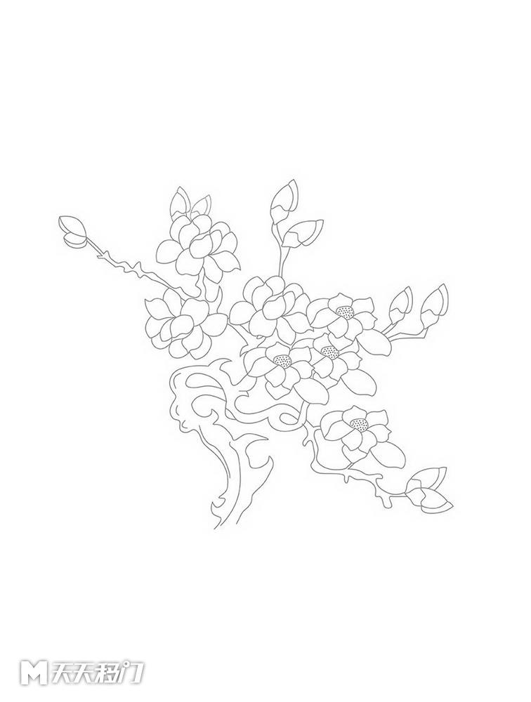 花朵花枝花苞移图 s646-线描