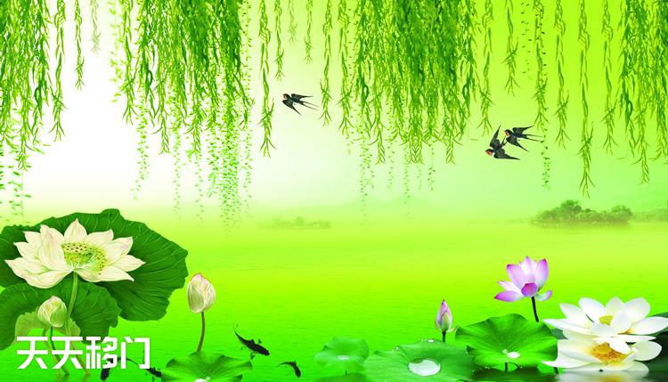 移图 b50607