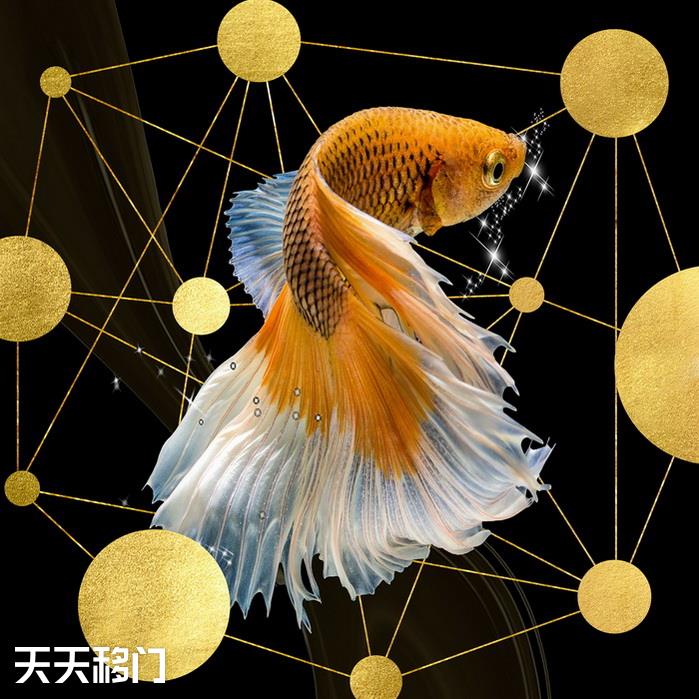 移图 D-389-1