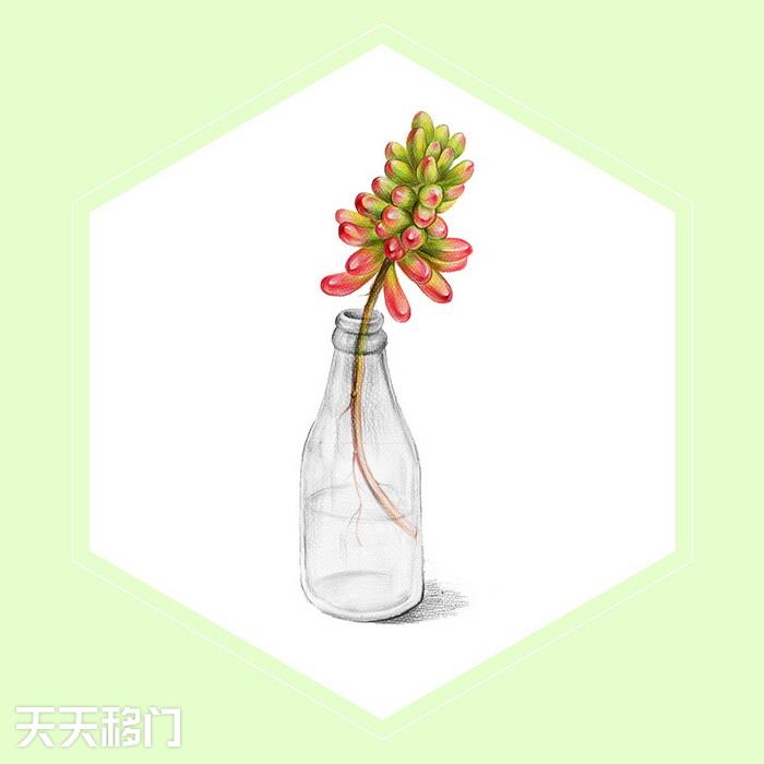 移图 D-778-3