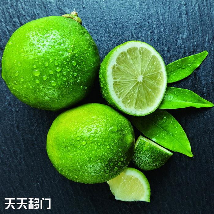 移图 E-475-2