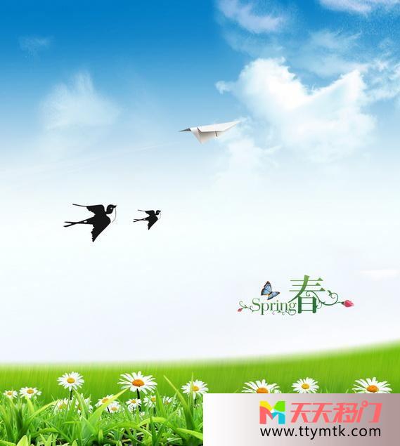 燕子纸飞机飞翔移图 我心飞翔M-6324