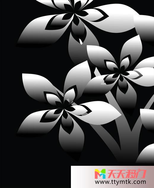 花枝叶黑色移图 时尚化玻璃移门衣橱大衣柜M-6176