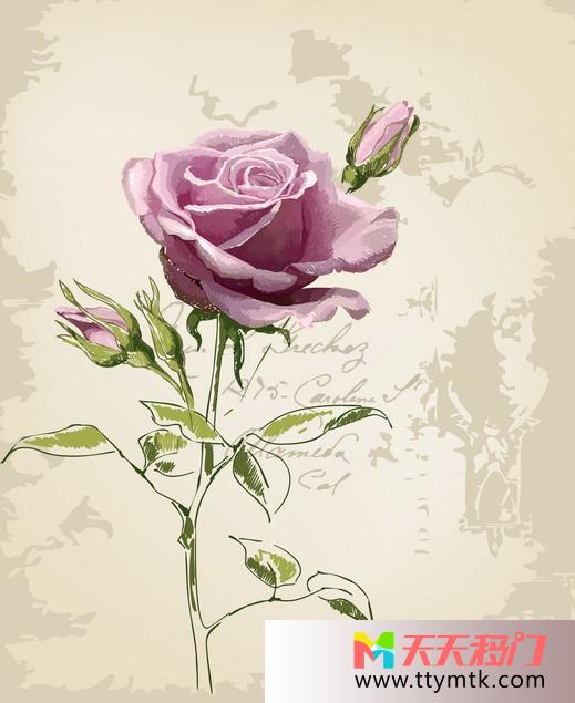 玫瑰叶子花苞移图 一枝玫瑰花中国玻璃移门大全图库CFL-12141