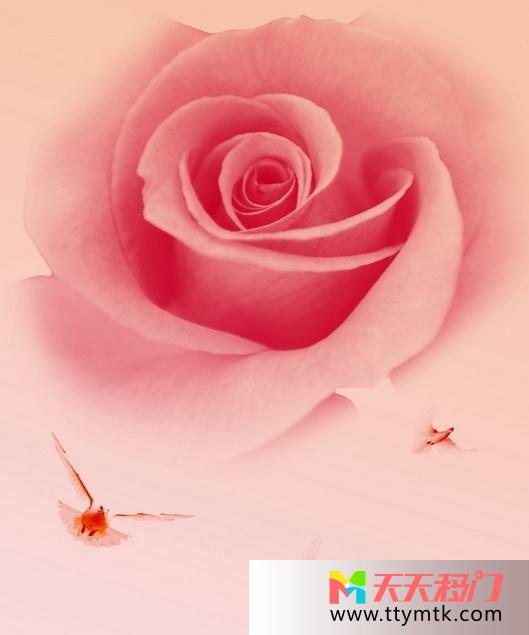 漩涡粉红玫瑰千纸鹤移图 奶油玫瑰强化艺术玻璃移门CF-202