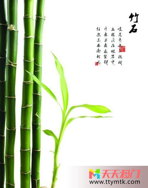 绿色竹子题词移图 坚韧绿竹艺术玻璃移门推拉门CF-T868