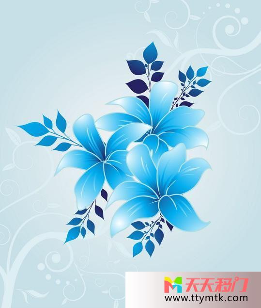 蓝色花朵纯洁的爱一移图 岁月流连D3-2025纯洁的爱一