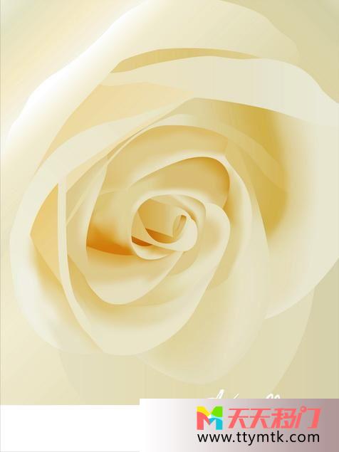 花线条背景色白玫瑰移图 素色玫瑰2013客厅衣柜移门图案EM-3320白玫瑰