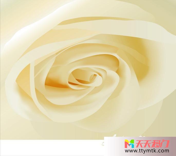 花线条背景色白玫瑰移图 素色玫瑰EM-3214-1白玫瑰