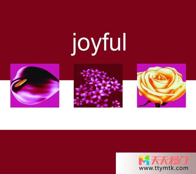 花英文背景色移图 joyful卫浴隔断门玻璃移门EM-3371JOUFUL