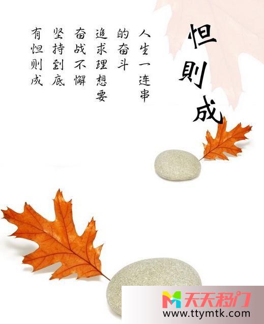 恒心坚持枫叶移图 奋斗JXB-303