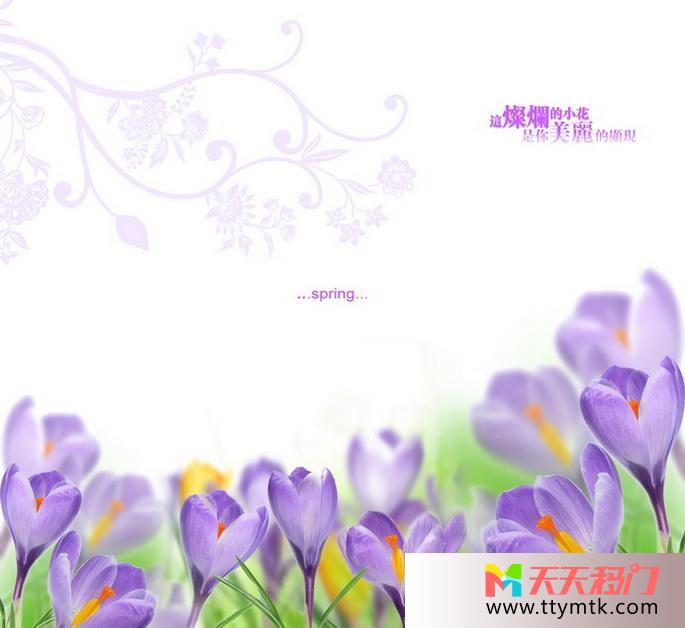 花紫色调春天移图 摧残的小花RYA-228