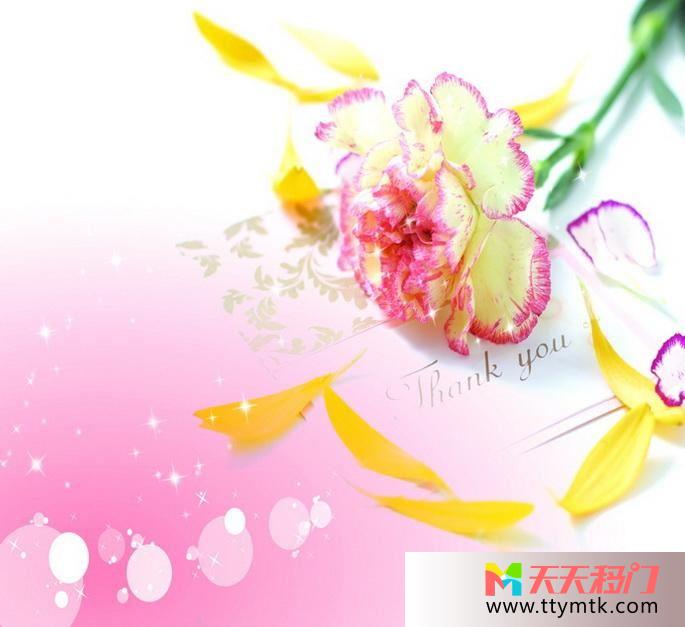 花落叶英文移图 浪漫花淋浴移门RYA-003