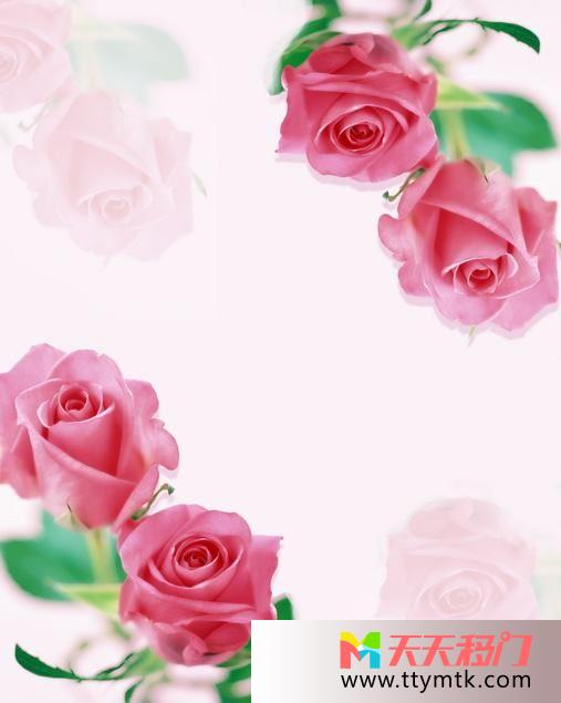 玫瑰花绿叶粉白色底纹移图 相对望大衣柜玻璃移门8-L021