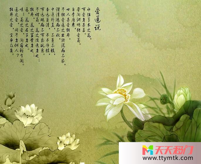 莲花莲叶诗歌移图 爱莲说9-2005