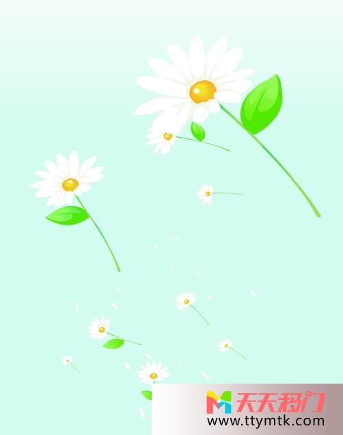 太阳花绿叶白色为底小花移图 花儿S-3693小花