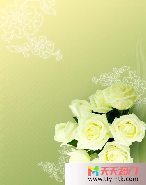 玫瑰叶子黄色清新花如碧玉移图 齐花怒放中国玻璃移门S-3142花如碧玉