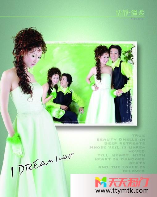 婚姻花束蓝色底纹恬静温柔移图 幸福婚姻卧室玻璃移门H-1067恬静温柔