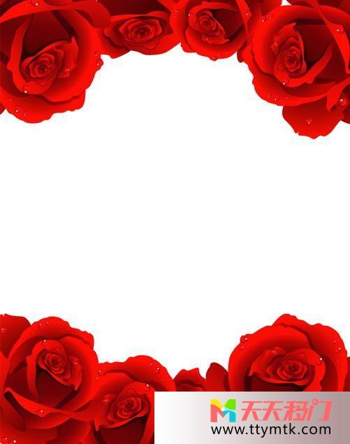 花红色爱心水珠玫瑰移图 爱意玫瑰Y-135水珠玫瑰