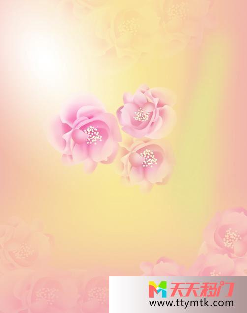 玫瑰粉红灿烂粉玫瑰移图 浪漫玫瑰Y-1120粉玫瑰