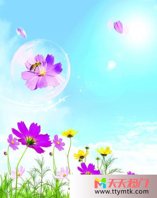 泡泡花枝干春意盎然移图 花儿飘飘衣柜移门Y-1106春意盎然