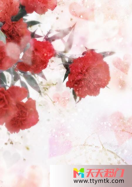 花清香水珠移图 花开即幸福玻璃移门衣柜简约Y-2623幸福花开