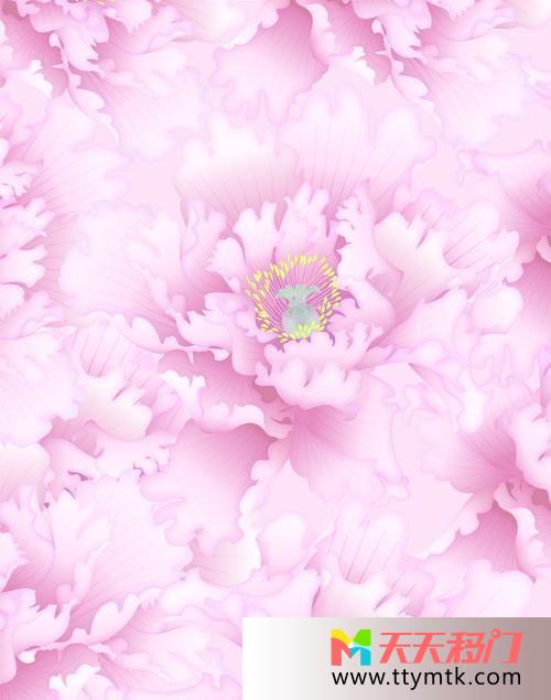 花美人迷人移图 独秀花丛中Y-2683牡丹花香