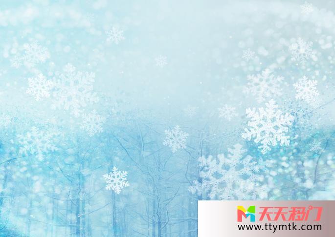 冬天树林学会移图 冬日雪景Y-2638唯美雪景