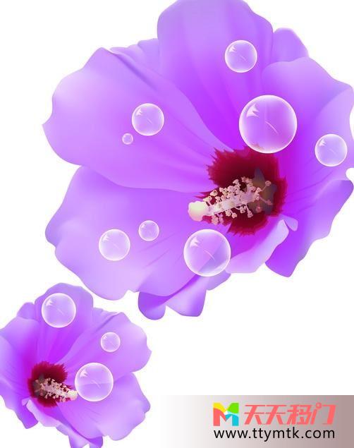 鲜花绽放紫色移图 肆意绽放N-1387绽放