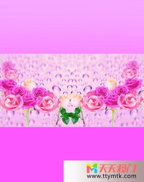 玫瑰高贵紫色珍珠浪漫心悸移图 玫瑰花田K-0498浪漫心悸