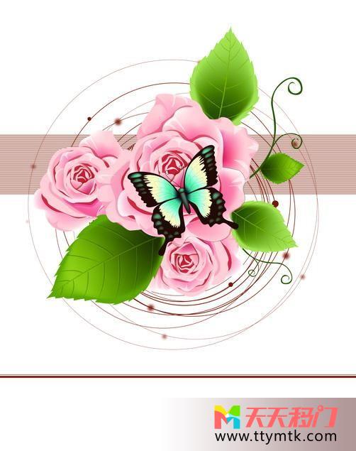 玫瑰蝴蝶粉红移图 附在玫瑰上的蝴蝶K-0642为你