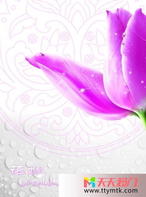 花朵淡紫印花移图 花嫁家装卧室衣柜移门图片SY-0022花嫁二