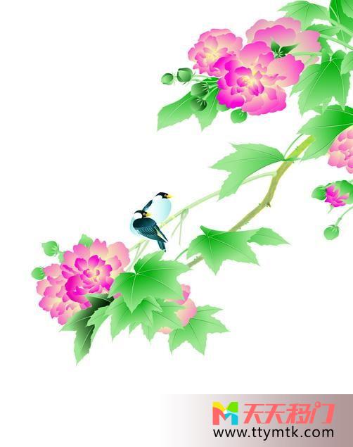 喜鹊花叶子争艳竞俏移图 喜鹊C-532争艳竞俏