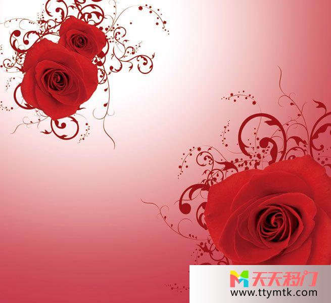 红玫瑰红白渐变背景花案纹理移图 玫瑰移门图库免费下载10-1217