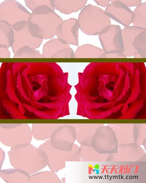 玫瑰花玫瑰花瓣边框移图 双玫瑰新款衣柜软包移门图片10-1186