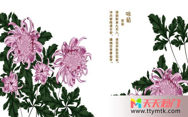 菊花绿叶题诗移图 咏菊厨房玻璃移门10-1038