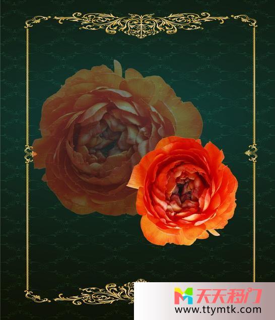 金色框玫瑰玫瑰花影移图 玫瑰移门图库网10-1095