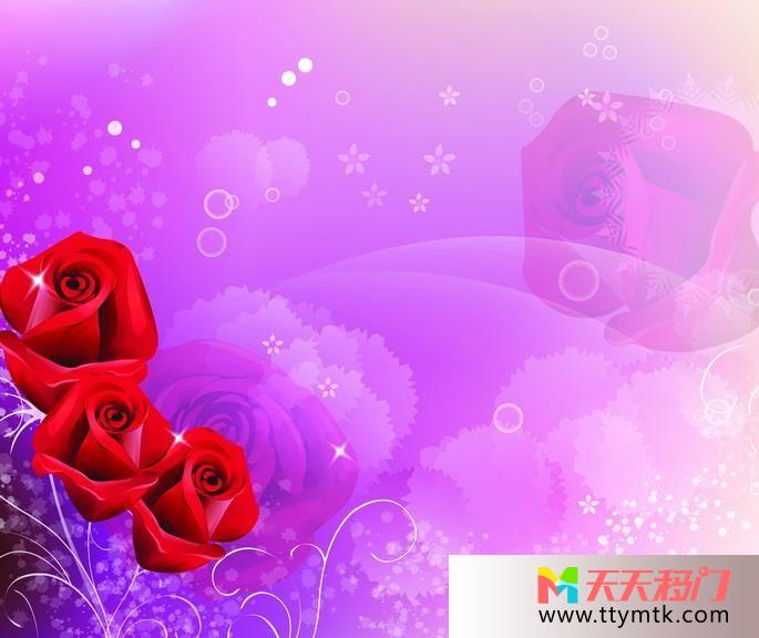 玫瑰火红爱情红色玫瑰移图 玫瑰花语C-3071红色玫瑰-3