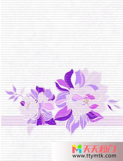 菊花线条格子移图 紫色的花2151