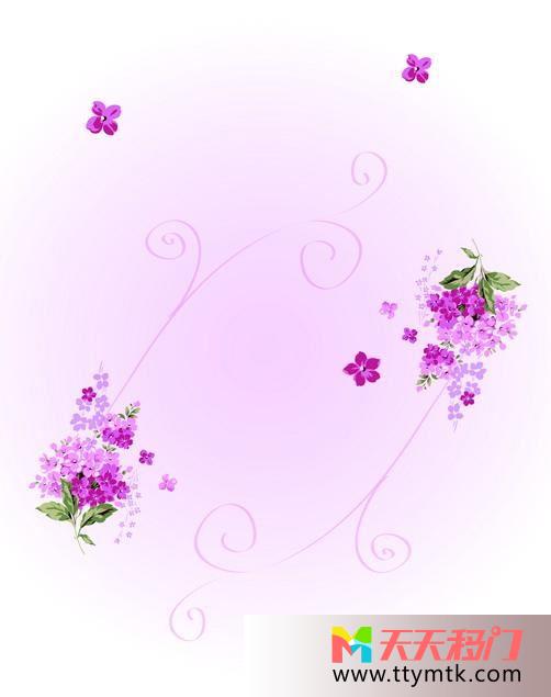 花朵简单素雅移图 紫樱花飘舞TC-512