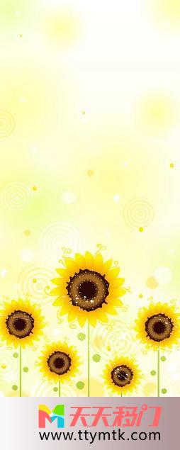 太阳花黄色阳光移图 太阳花的成长TXC067