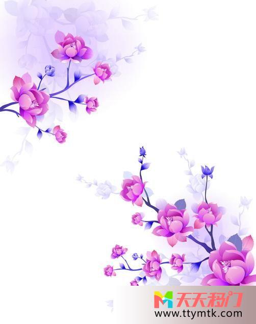 紫花枝桠天空移图 天生丽质TXF236