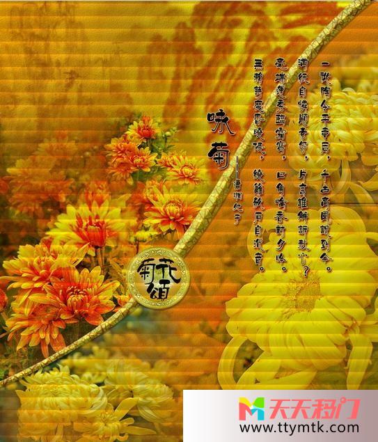 菊花金条题诗移图 咏菊TXi446