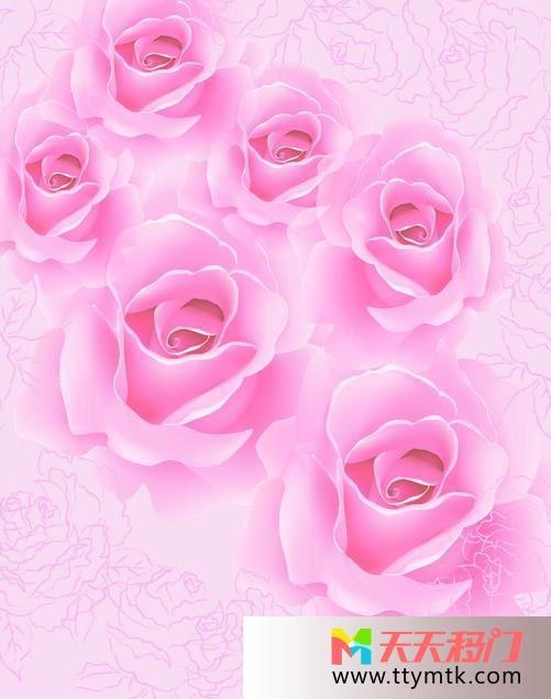 玫瑰花粉红色条纹移图 粉红海洋TXi194