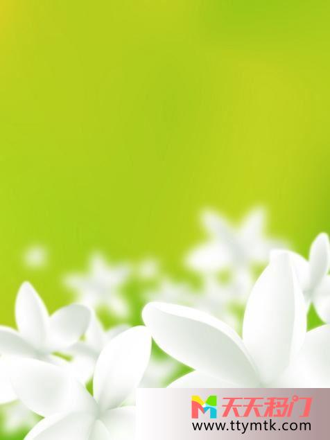 栀子花白色花瓣绿色背景移图 栀子花TXi140