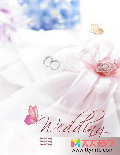 婚戒婚纱蝴蝶移图 结婚时刻钛合金移门TXi193