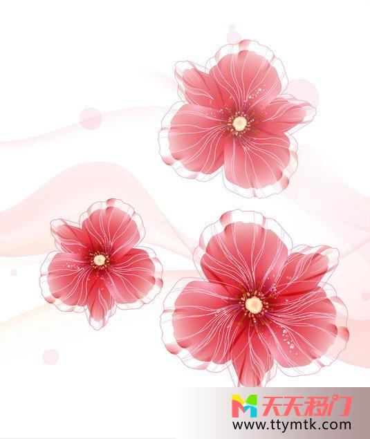 唯美花朵粉红移图 唯美花朵txk070