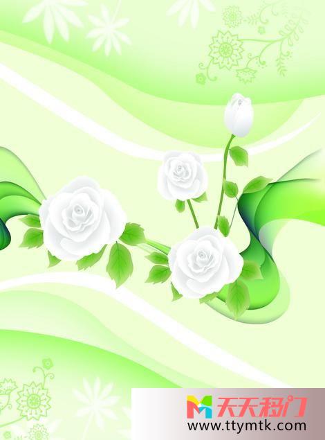 绿叶花朵洁白移图 绿叶中的花朵txk264
