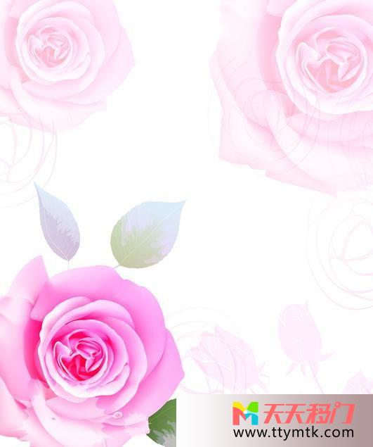 粉红玫瑰淡雅移图 粉红玫瑰花txk154